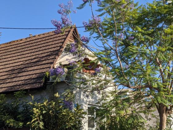 יסוד המעלה 15 (נחלת עדה)