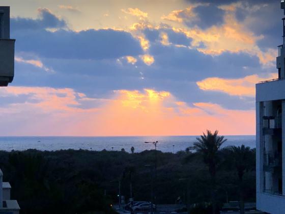 רודנסקי 10 (רמת אביב החדשה)