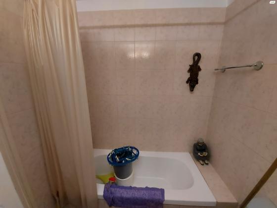 מבוא הקינמון 1 (גילה)