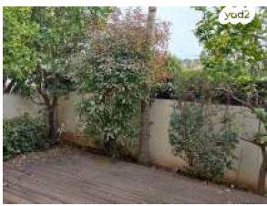 מזל אריה 33 (מגדיאל)