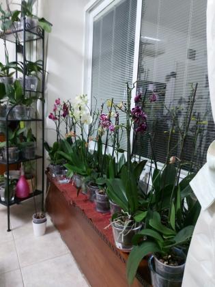 כורזין 9 (שכונה ממשית)