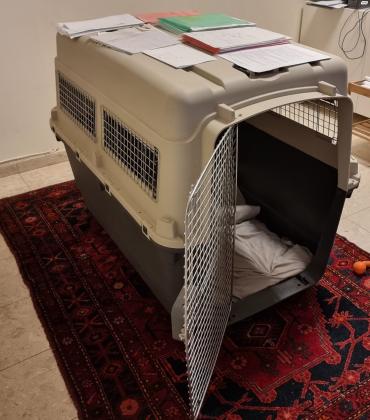 כלוב טיסה ואילוף לכלב גדול,