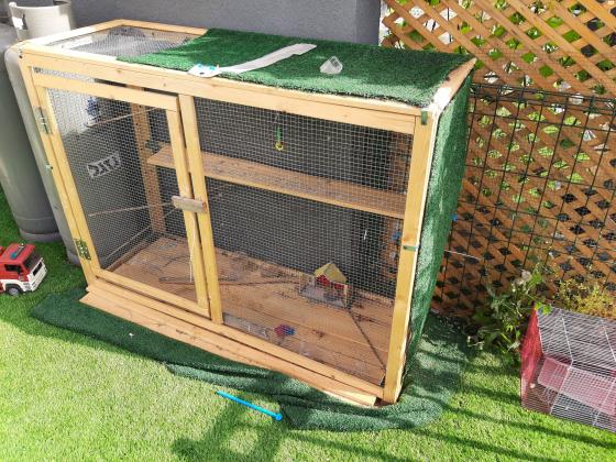 זוג ציפורי אהבה + כלוב