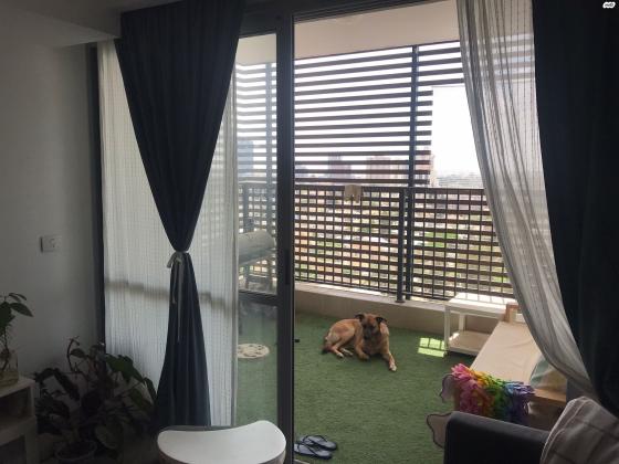 גוש עציון 26 (שכונה ג)