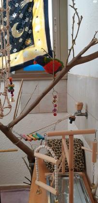 תכירו את לות'ר, לורי סווינסון