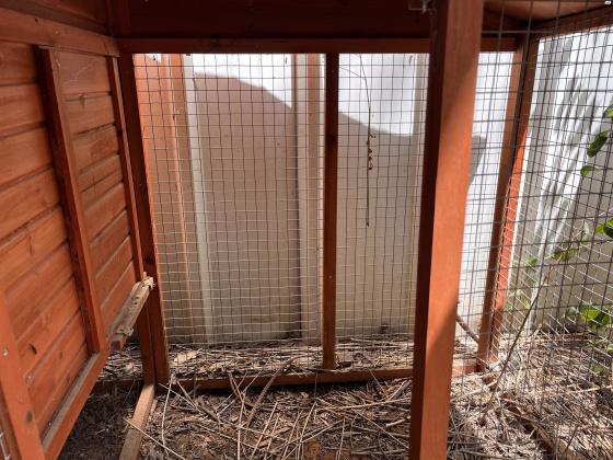 לול תרנגולות ביתירוחב -2