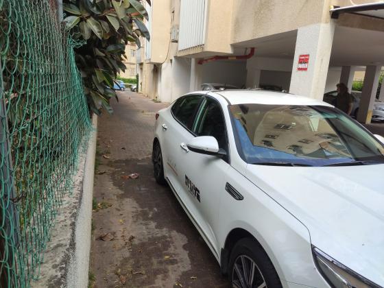 קיה אופטימה / Optima (2019)