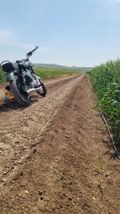 רויאל אנפילד בולט קלאסיק מיליטרי (2016)