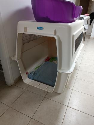 כלוב טיסה של חברת פטמייט