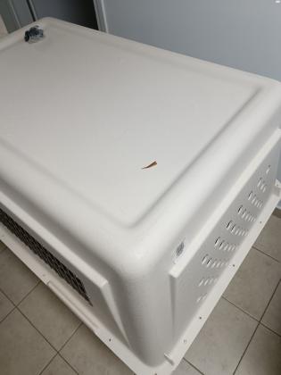 כלוב טיסה של חברת פטמייט