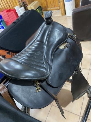 אוכף אנגלי כחדש- דגם m and w