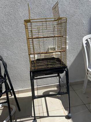 כלוב זהב עם הגלה לתוכי יד 2