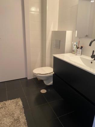 הדקל 9 (רובע א)