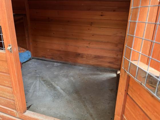 לול תרנגולות ביתירוחב -2