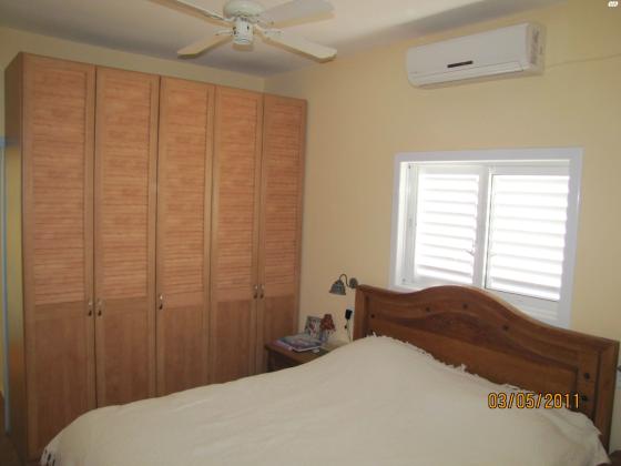 דבורה בארון 6 (כצנלסון)