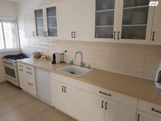 ניסן טורצ'ין 2