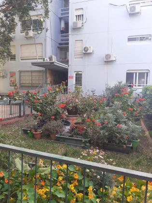 ניסנבוים 4 (יזרעאליה)