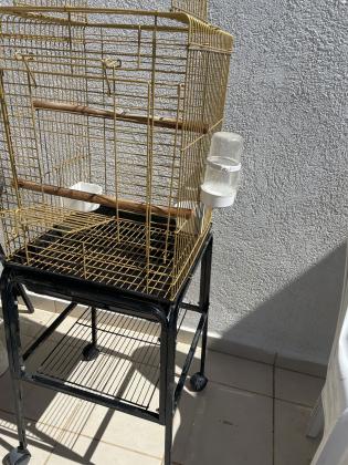 כלוב זהב עם הגלה לתוכי יד 2