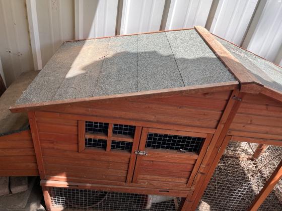 לול תרנגולות ביתירוחב -2