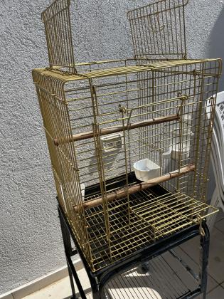 כלוב זהב עם הגלה לתוכי יד 2