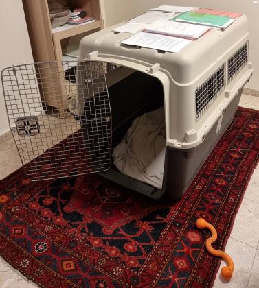 כלוב טיסה ואילוף לכלב גדול,