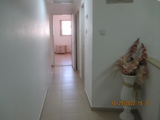 הרב ש"י זווין 6 (נוה יעקב)