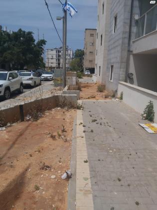 המתמיד 6 (ג'סי כהן)