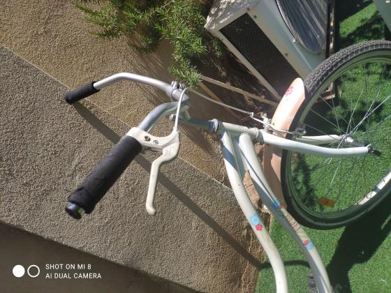 אופני נשים סינגל ספיד שילדה