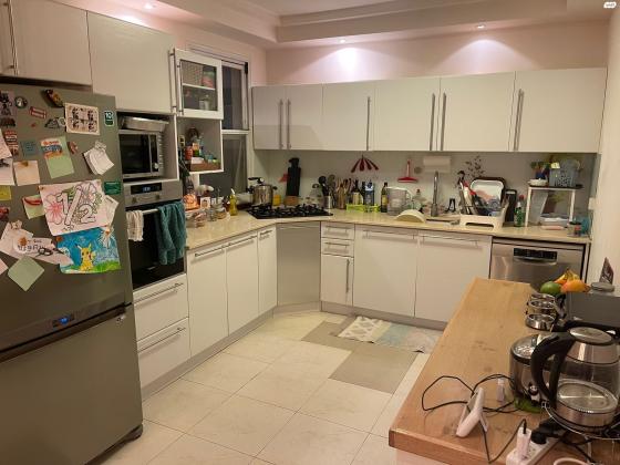 זלמן שניאור 11 (מרכז)