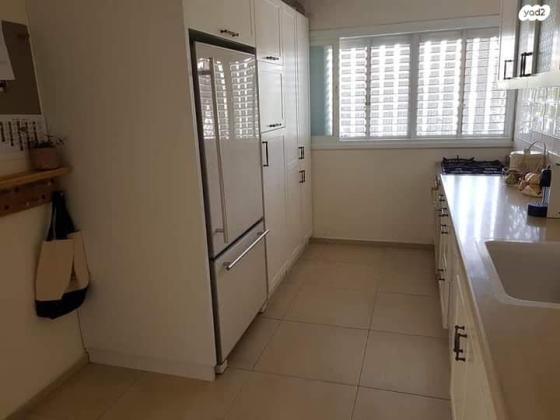 ניסן טורצ'ין 2