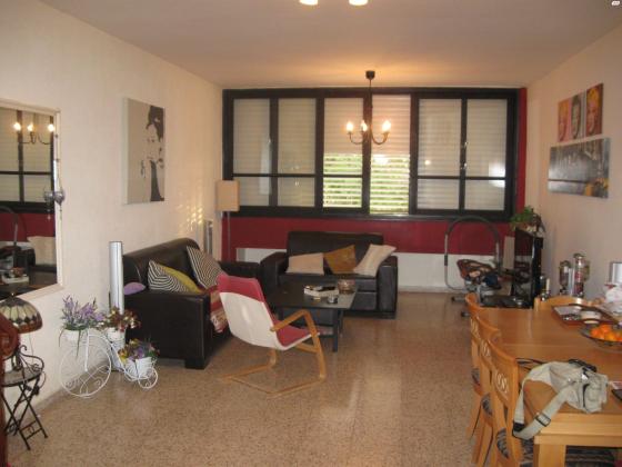 הרב קוק 51 (נוה ישראל)