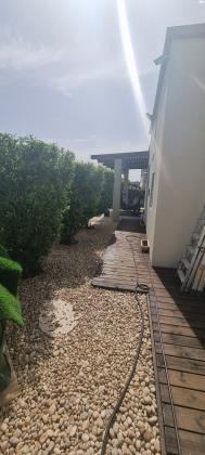 אסתר המלכה 40 (רובע יזרעאל)