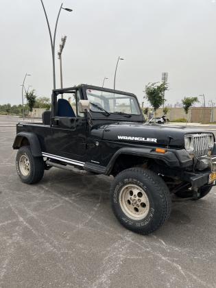 ג'יפ תע''ר סופה פתוח (1993)