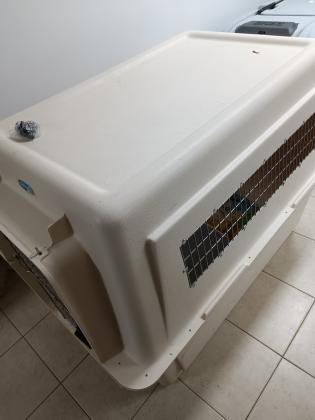 כלוב טיסה של חברת פטמייט