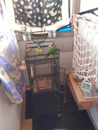 תכירו את לות'ר, לורי סווינסון