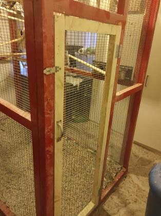 להקת קוקטיילים+ווליר