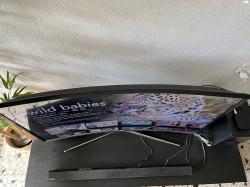 טלוויזיה 48 אינץ' עם מסך