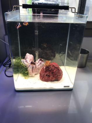 אקווריום נאנו מים מלוחים חדש