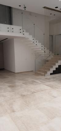 דר' וילהלמינה כהן 1