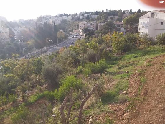 הצלפים 6 (רוממה)