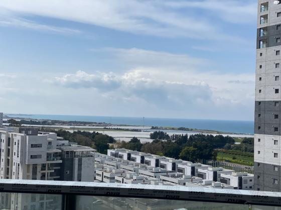 דולפין 1 (גלי כרמל, ז'בוטינסקי)