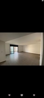 אחיה השילוני 8