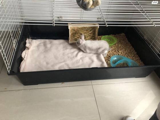 כלוב לארנב(בלי ארנב)כמו חדש ובמצב מצויין