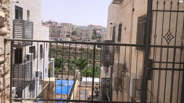 הרב אלישיב 13