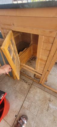 כלוב לארנבים (מתאים גם כלול תרנגולות)