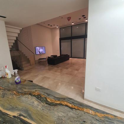 דר' וילהלמינה כהן 1