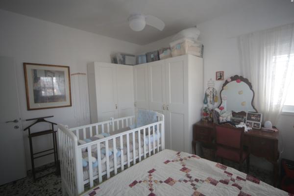 טרכטנברג 15 (אברמוביץ')