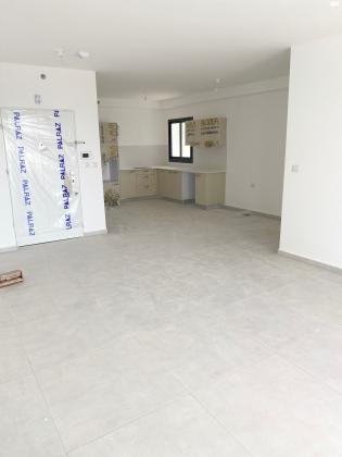 דולפין 1 (גלי כרמל, ז'בוטינסקי)