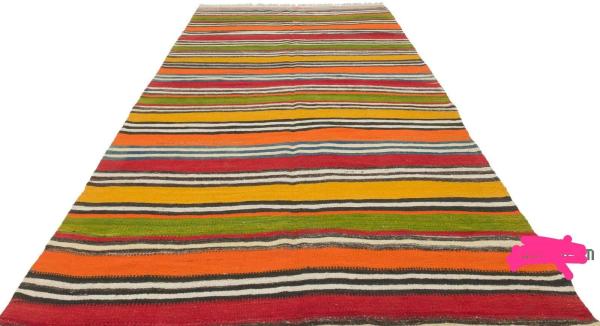 צמר מלא, הכי יפה בקטגוריה