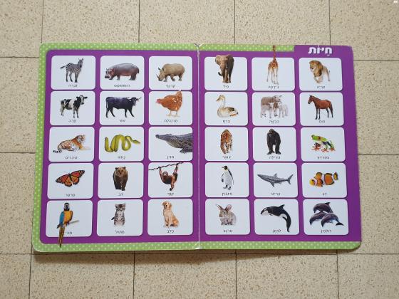 ספר 180 מילים ראשונות בתמונות